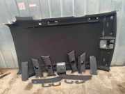 Schiebedach BMW X5 (E70)