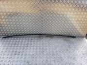 Dachleiste links CITROËN C4 II (B7) 1.6 VTi 120 380961