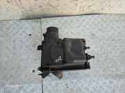 Luftfiltergehäuse Nissan Juke (F15) 1KT1A