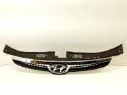 Kühlergrill oben Hyundai i30 I (FD) 663512R000