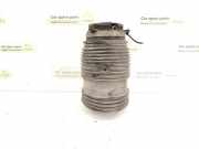 Pneumo-Stoßdämpfer hinten links MERCEDES-BENZ E (W213) AMG E 43 4-matic (213.064) A2133200125