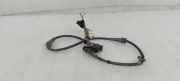 KABELBAUM LEITUNGSSATZ ABS-SENSOR HINTEN AUDI A3 (8L1) 1.9 TDI 6E0973702