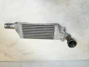 Ladeluftkühler OPEL COMBO Furgon/Estate 1.3 CDTI 16V 24.466.787