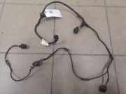 Kabelbaum Audi A6 Avant (4F, C6) 8E9971085