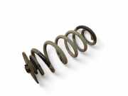 Fahrwerksfeder hinten rechts BMW X6 (F16, F86) xDrive 35 i