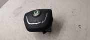 Schleifring Airbag Skoda Octavia II Kombi (1Z) 1Z0880201AK