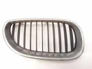 Vorderer oberer Gitter