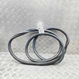 Türgummi links vorne VW Caddy IV Kasten (SAA, SAH) 2K0837911H