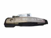 Türgriff links Opel Antara (L07)