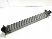 Ladeluftkühler SKODA FABIA II Combi (545) 1.6 TDI 6R0145805