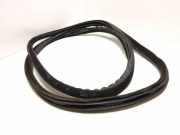 Türdichtungsgummi hinten links VOLVO S80 I (TS, XY) 2.9