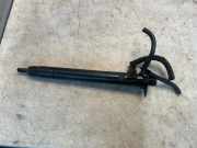 Einspritzdüse FORD C-MAX II (DXA/CB7, DXA/CEU) 2.0 TDCi 9686191080
