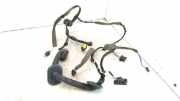 Kabel Tür vorne rechts RENAULT LAGUNA III Grandtour (KT0/1) 2.0 dCi (KT01, KT09, KT12, KT1S) 241240104R