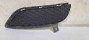 Gitter vorne unten MERCEDES-BENZ B (W246, W242) B 200 CDI (246.201) A2468851622
