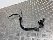 Massekabel Peugeot Expert III Kasten (V) 9816233680