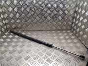 Heckklappe Gasdruckfeder rechts RENAULT ESPACE IV (JK0/1_) 2.0 dCi (JK01, JK02, JK1J, JK1K) 8200021974