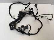 Kabel Tür vorne rechts FORD PUMA (J2K, CF7) 1.0 EcoBoost mHEV L1TT14631BCB