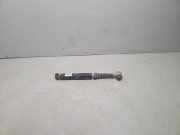 Stoßdämpfer hinten links RENAULT MEGANE III Hatchback (BZ0_) 1.5 dCi 310058 38170031Q058