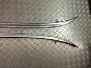 Dachreling links BMW X3 (F25) 7230207