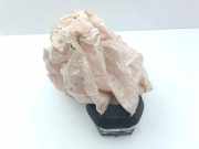 Lenkrad Airbag SKODA OCTAVIA IV (NX3, NN3) 1.0 TSI e-TEC 5E3880201AC