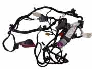 Kabel der vorderen linken Tür AUDI A8 D3 (4E2, 4E8) 4.0 TDI quattro 4E1971035E