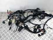 Motor Kabelbaum BMW 7 (F01, F02) 740 d 755066407BA 858356601