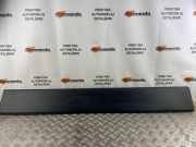 Türverkleidung rechts Fiat Ducato Kasten (250) 1314820070