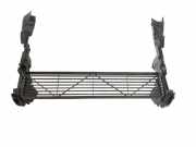 Kühlerluftumlenker AUDI Q5 (8R) 3.2 FSI quattro 8R0121283 8R0121284