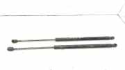 Heckklappe Gasdruckfeder links KIA SPORTAGE V (NQ5) 1.6 T-GDI AWD 817801F010