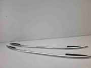 Dachreling links VW Tiguan I (5N)