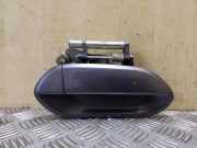 Türaußengriff hinten rechts