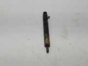 Düsenstöcke Renault Megane III Grandtour (KZ) 8200794299