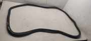 Türgummi links vorne VW Passat B7 Alltrack (36, B7) 3C4867911B