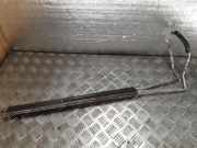 Servolenkungskühler OPEL INSIGNIA A Estate (G09) 2.0 CDTI (35) 13286331