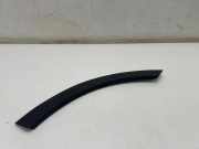 Türleiste hinten links JAGUAR F-PACE (X761) 2.0 AWD J9C316A333A