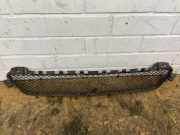 Gitter vorne unten MERCEDES-BENZ C Coupe (C205) C 250 d (205.308)