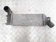 Ladeluftkühler Citroen C8 (E)