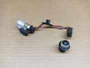 Ziergitter Audi A4 Allroad (8W, B9) 4M0919340