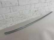 Dachleiste links BMW 1 (F21) 116 d 7240686