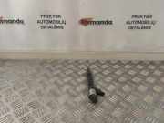 Einspritzdüse OPEL INSIGNIA A Estate (G09) 2.0 CDTI (35) 55570012