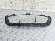 Ziergitter BMW 3er (E90) 7898512