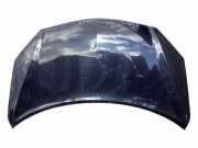 Motorhaube RENAULT KOLEOS I (HY_) 2.0 dCi (HY0K) VF1VY0ANUC296629