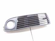 Kühlergrill unten Audi A6 (4B, C5) AD99013