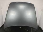 Motorhaube VW TOUAREG (7LA, 7L6, 7L7) 3.2 V6