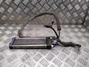 Elektrischer Schulterschulterkühler VW PASSAT B5 (3B3) 1.9 TDI 664324j 3b0963235