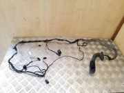 Türverkabelung hinten links BMW X6 (E71, E72) xDrive 30 d 9185661