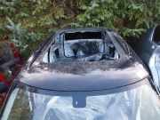 Dach mit Sonnendachausschnitt Mini Mini Countryman (R60)