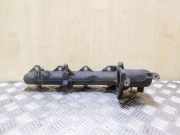 Ansaugbrücke NISSAN X-TRAIL (T31) 2.0 dCi