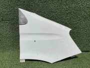 Kotflügel vorne rechts IVECO DAILY IV Flatbed 50C18 3800001