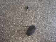 Antenne Dach Peugeot 308 I SW () 9655613780